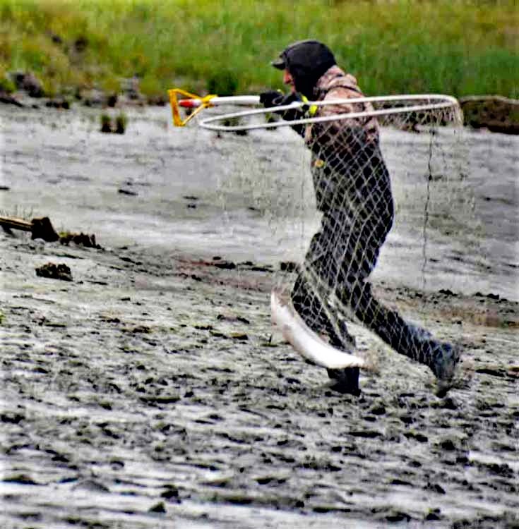 dip net fishing